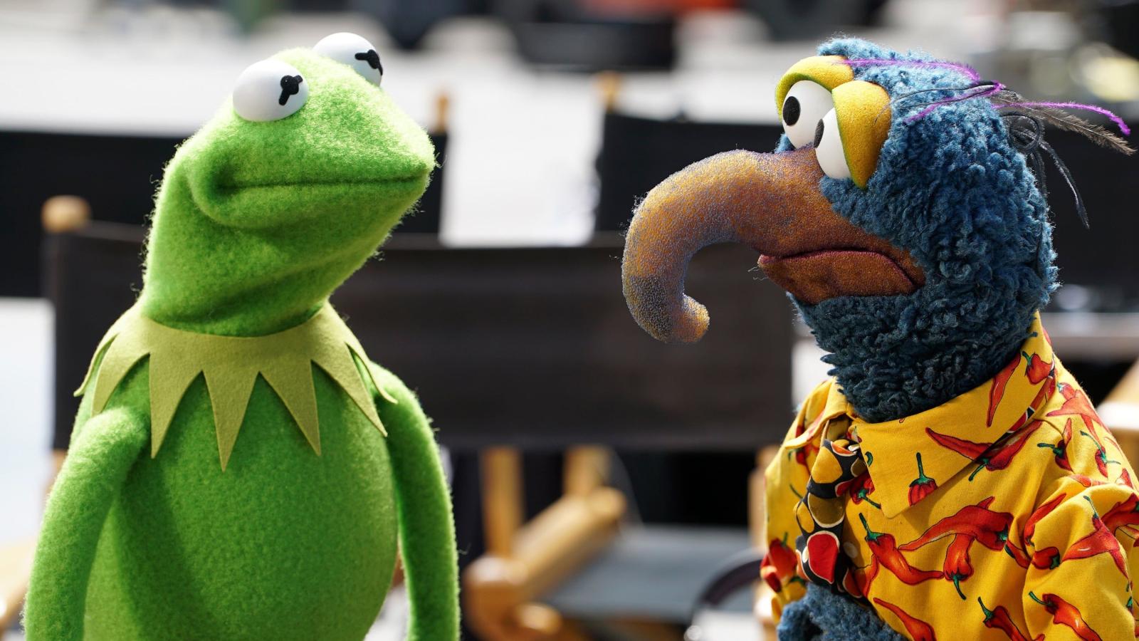 3000x1688 Zoo: Which Muppet Are You?