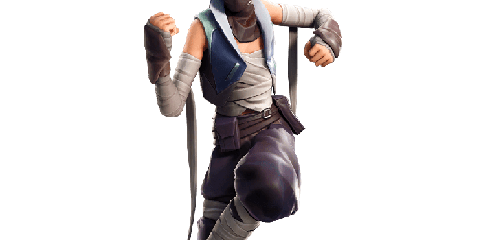 1024x1024 Fortnite Wild Card Outfit | Fortnite Free 130s