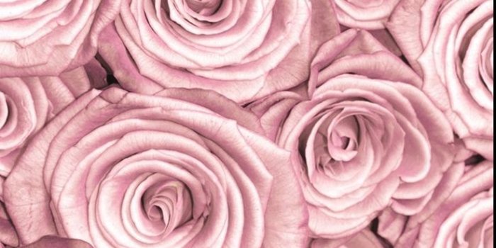 736x1310 Free download 13 best Rose Gold wallpapers images Cute [736x1310