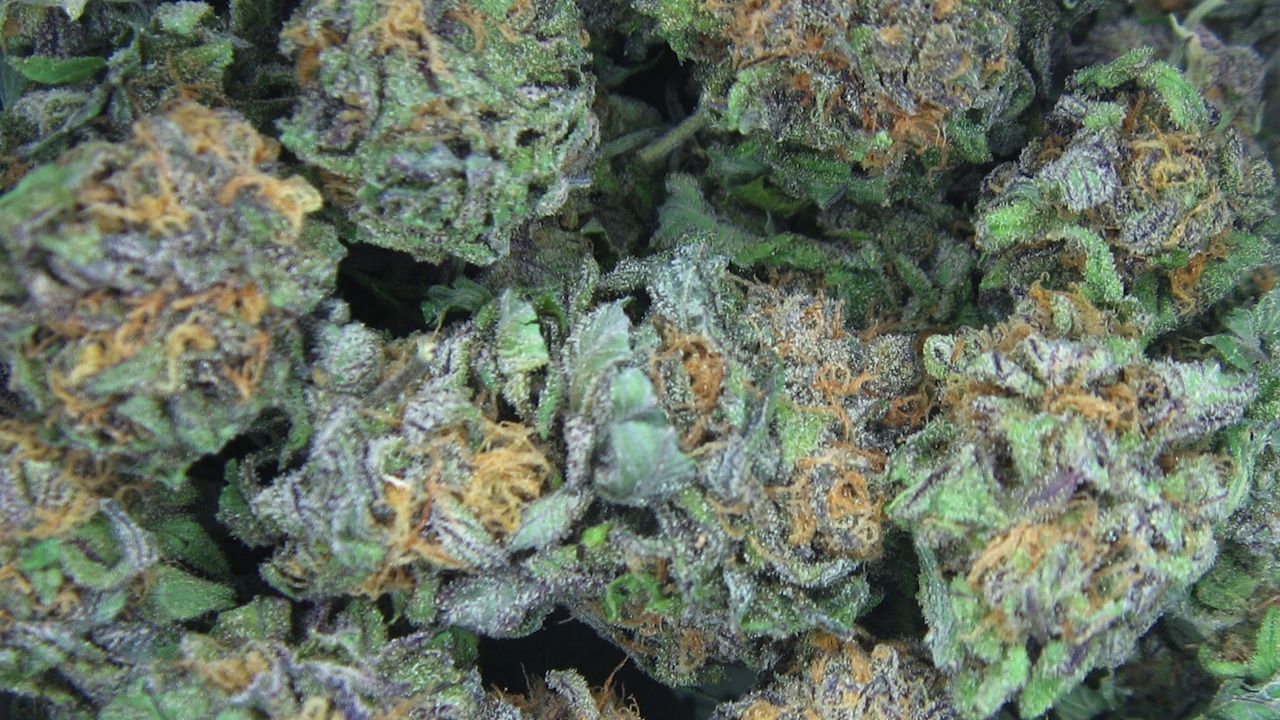 1280x720 SanJose.com | 420 Dispensary Guide