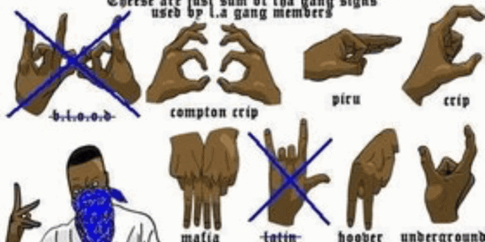 750x1334 Fudge Pudding on hand signs in 2019 | Gang signal, Gang up