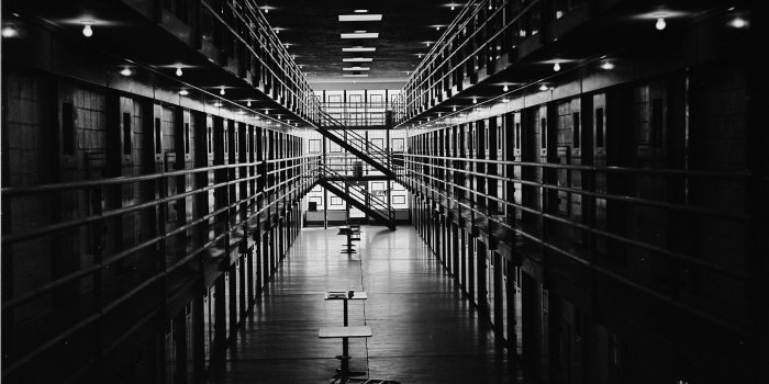 2000x1629 West Coast Original Gangster - Gorilla Convict