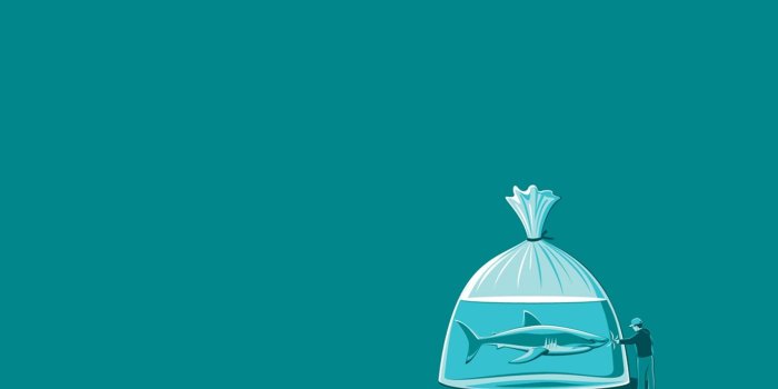 1440x900 Shark Aesthetic Laptop Wallpapers - Top Free Shark Aesthetic Laptop