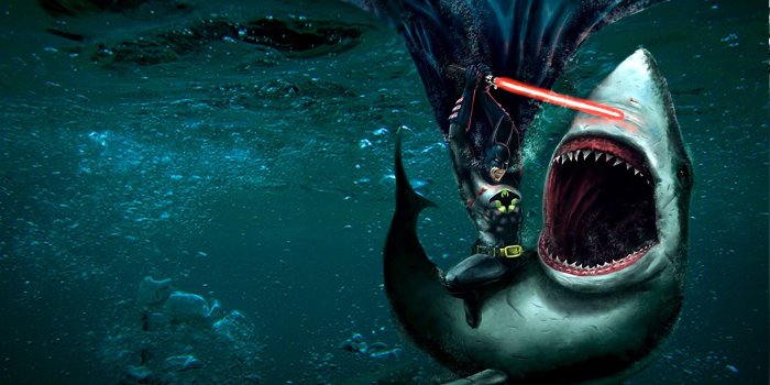 1920x1080 Download Fighting Shark Fullhdwpp Wallpaper 1920x1080 Full HD