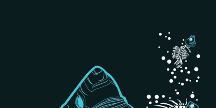 1280x2120 75+ Shark Iphone Wallpaper - Iphone Wall