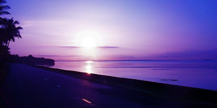 1920x1080 Fiji Tag wallpapers: Sakura Japanese Cherry Japan Fiji Nature