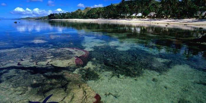 1280x800 Beach Wallpaper And Background Image - Coral Coast Fiji (#772749