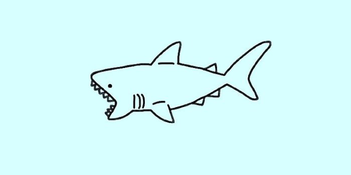 744x1323 Erica Bill on phone backgrounds | Cute wallpaper backgrounds