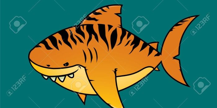 1300x1300 Tiger Shark Cartoon wallpaper_Funny Wallpapers_download free wallpaper