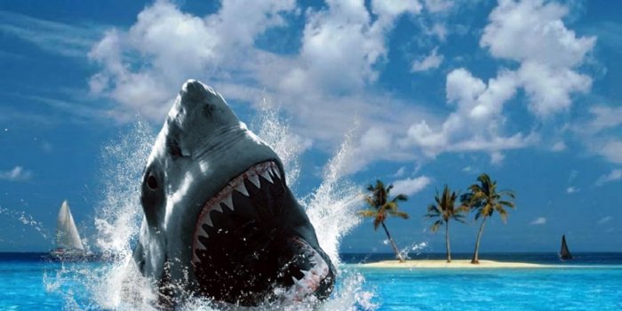 1280x960 Screen Wallpaper Hd (48+ images) on Genchi.info