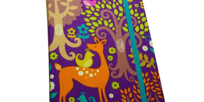 1024x768 Amazon.com: Hard Cover Case for Kindle Paperwhite, Kindle Fire 7