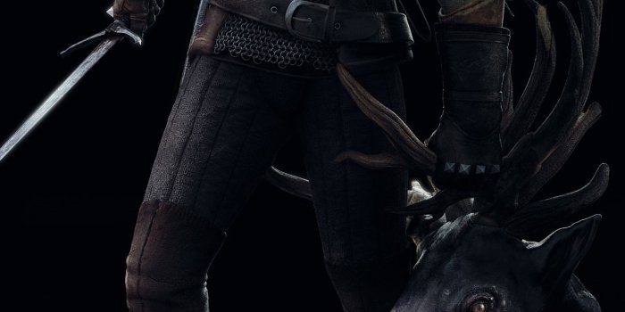 1242x2688 The Witcher 3: Wild Hunt, black background 1242x2688 iPhone XS Max