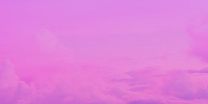 1152x2048 55+ Purple Ombre Wallpapers - Download at WallpaperBro