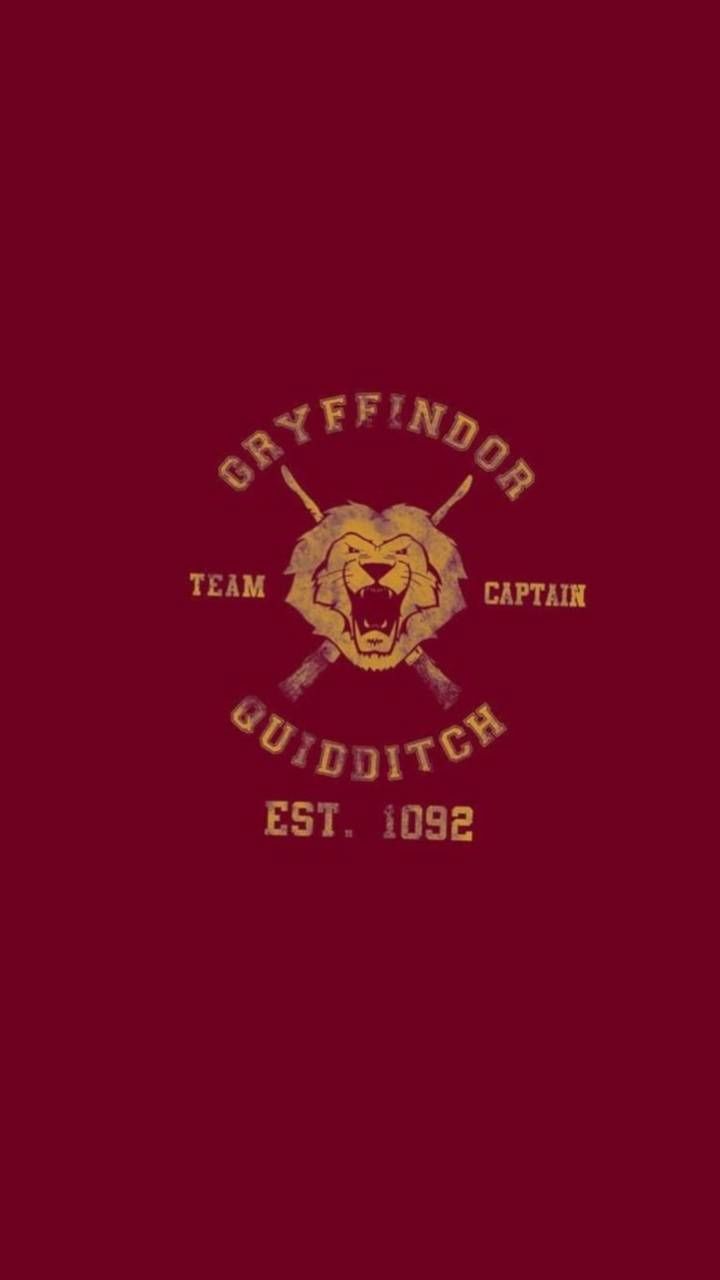 720x1280 GRYFFINDOR QUIDDITCH Wallpaper by AlicesMadHouse - 8f - Free on ZEDGE™