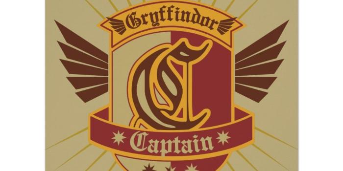 1106x1106 Harry Potter | Gryffindor QUIDDITCH  Captain Emble Poster | Zazzle