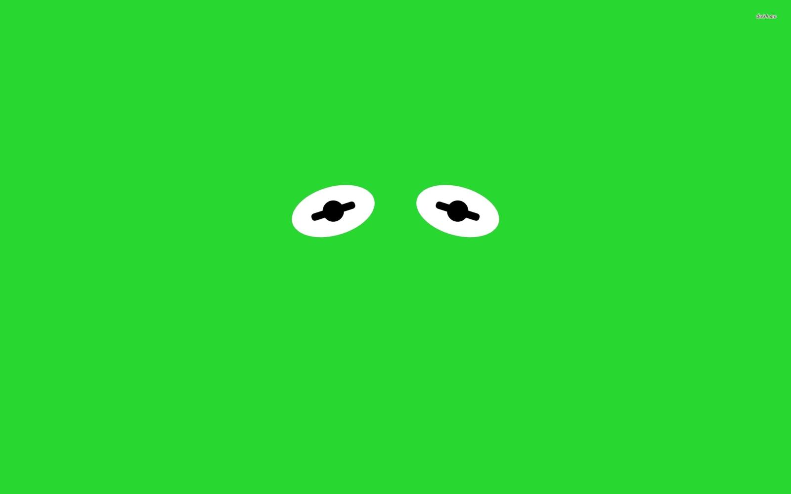 2560x1600 Kermit the Frog wallpaper - Minimalistic wallpapers - #40356