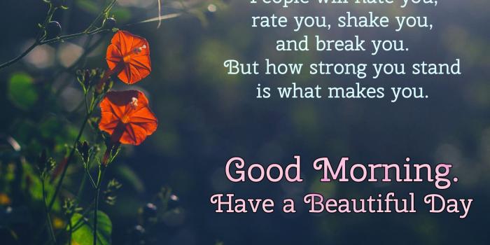 1920x1440 Good Morning Images With Quotes HD For Facebook, WhatsApp And