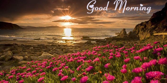 1920x1080 TOP 100+ Good Morning Wednesday Quotes Wishes Images | Status Shayari