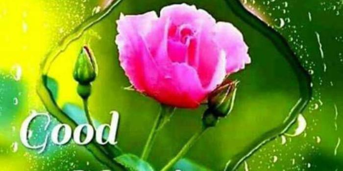 1080x1075 Best Good Morning Images For Whatsapp Free Download