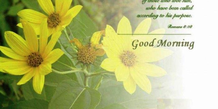 1024x819 New Good Morning Wallpapers