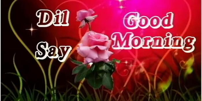 1930x1080 Good Morning Video...Whatsaap Quotes...Beautiful _