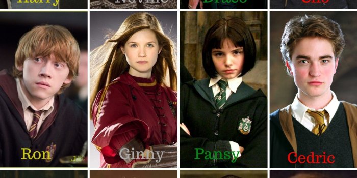 1728x2304 Golden Trio (Harry, Ron, Hermione), Silver Trio (Neville, Ginny