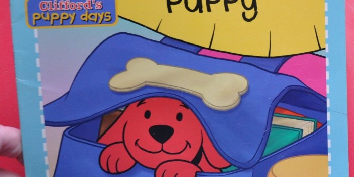 1600x1530 Clifford The Big Red Dog Puppy Days Characters - Pets Wallpapers