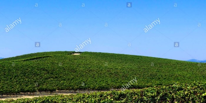 1209x807 Windows Xp Wallpaper Location | Funny Wallpapers