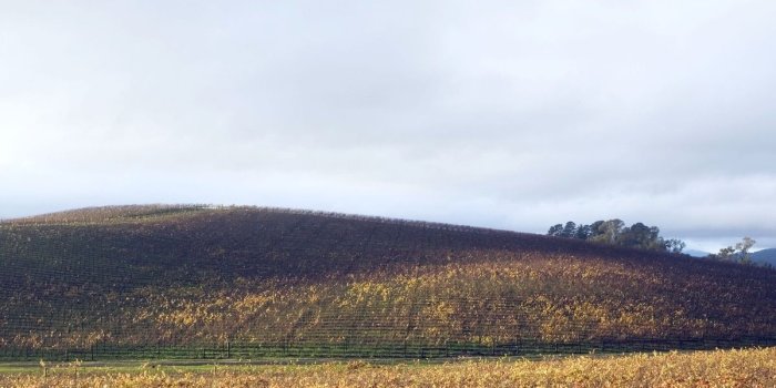 1200x900 The Story behind the Famous Windows XP Desktop Background - Artsy