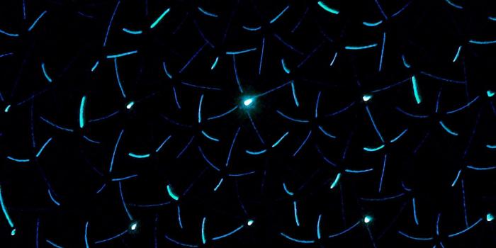 1440x2560 Download wallpaper 1440x2560 light, neon, dark background, circles