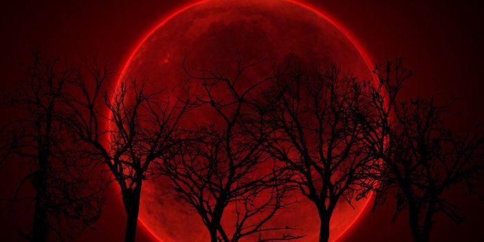 1920x1200 Blood Red Moon Wallpaper (55+ images)
