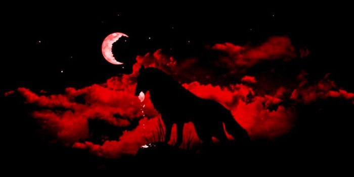 1339x837 Moon Wolves Abstract Wallpaper | erasedblog