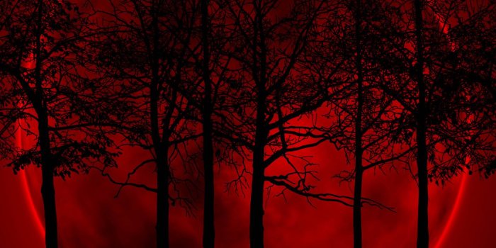 1440x1280 Blood Red Moon Wallpaper by Darkdevion - ad - Free on ZEDGE™