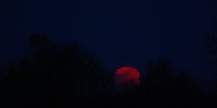 4272x2848 Red Full Moon Wallpaper - Nutrisi glucolife