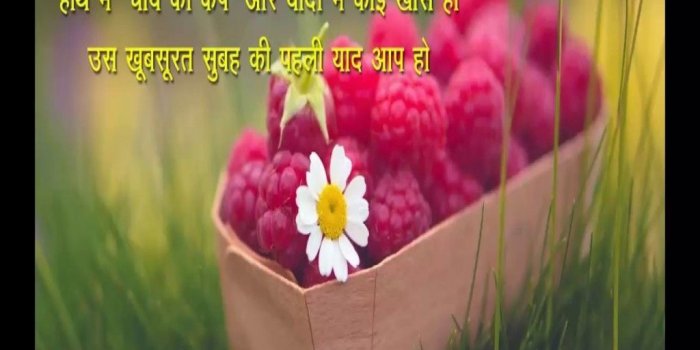 1024x1052 Top hindi 50 Good Morning Quotes In Hindi, Images, Photo, Whatsapp