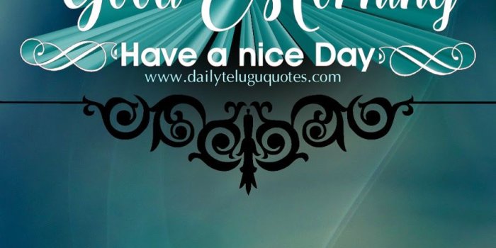 900x1600 Good Morning Hd Mobile Quotes And Wallpapers Free Online - Good