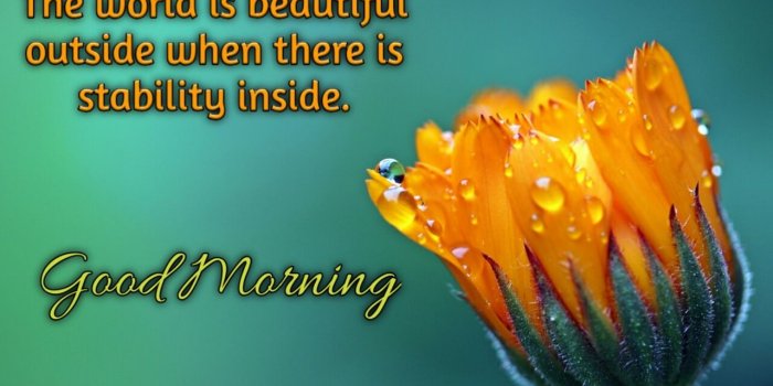 1280x848 Good Morning Quotes Images To Make Your Happiest Day