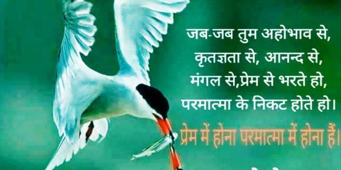 1079x1329 Prakâsh rathod on osho | Good morning images, Morning wish