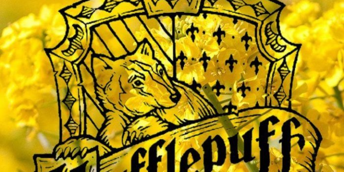 728x1294 hufflepuff crest background | Pomelo Tapet