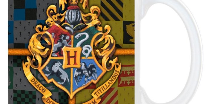 1000x1000 Hogwarts Crest and House Colors Mug – Harry Potter Shop