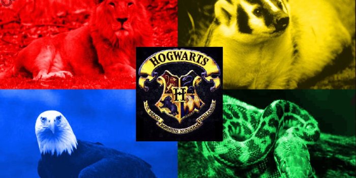 1024x768 Gryffindor Wallpaper - Wallpapers Browse