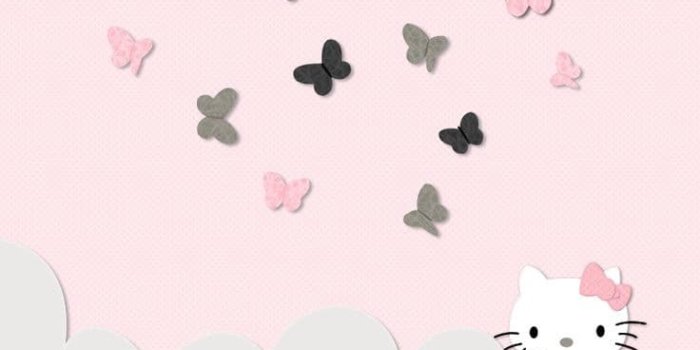 736x1254 Iphone Hello Kitty Wallpapers (28+ images) on Genchi.info