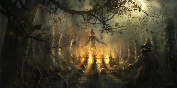 1920x1080 Goblet of fire harry harry potter wallpaper 35199 fanpop | Chainimage