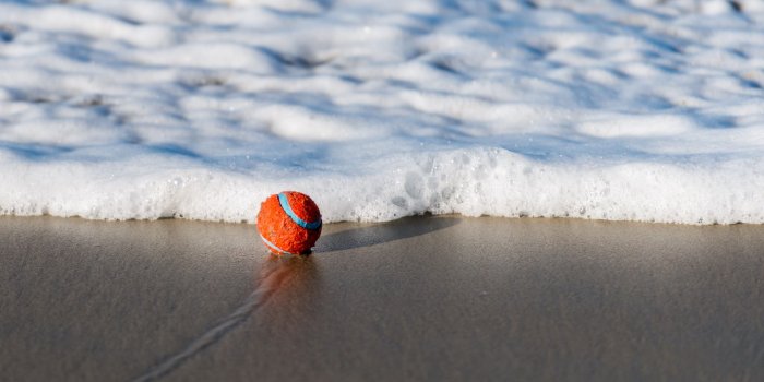2560x1600 Wallpaper Ball, beach, sea, foam 2560x1600 HD Picture, Image