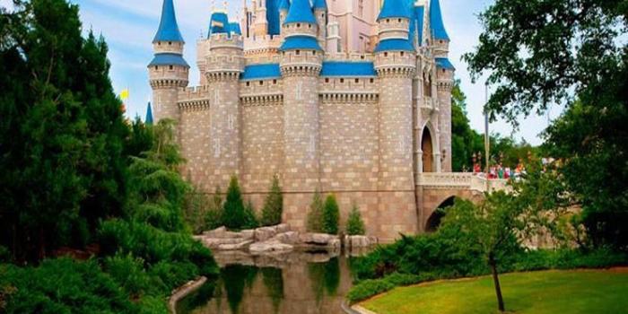 1080x1920 Cinderella Castle | iPhone Wallpaper