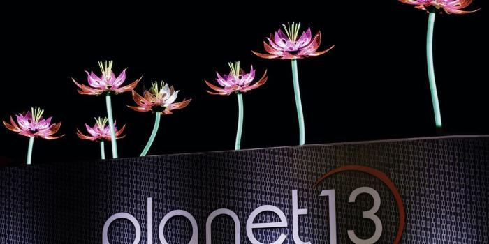 1200x675 Planet 13: the world's largest cannabis dispensary is in Las Vegas