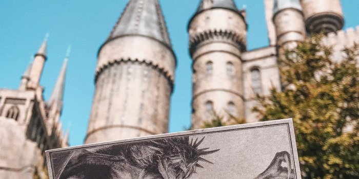2526x3789 Gray Harry Potter Ticket · Free Stock Photo