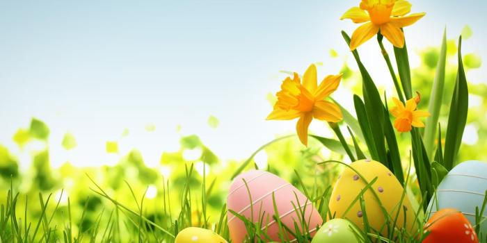 1920x1080 Free download spring wallpapers spring backgrounds spring desktop