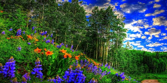 1920x1200 Beautiful Disney Wallpaper search results - Page 1334. EskiPaper.com