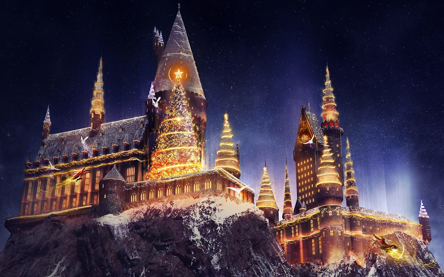 1440x900 Harry Potter Christmas Wallpapers - Top Free Harry Potter Christmas